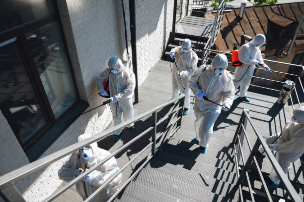 Best Post-Remediation Verification Testing  in Sea Girt, NJ