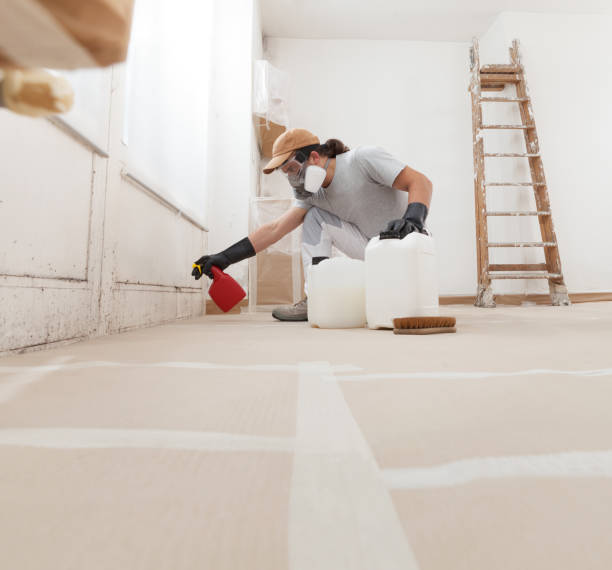 Mold Remediation for Vacation Homes in Sea Girt, NJ